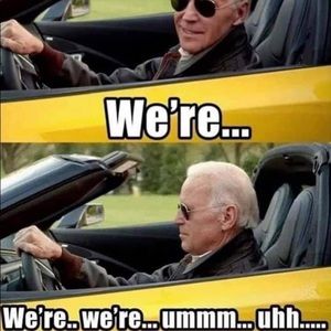 Meet your Posher, Dino